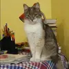Отзыв от Инна Овсянникова